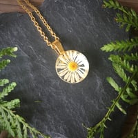 Image 1 of Real Daisy Mini Resin Pendant