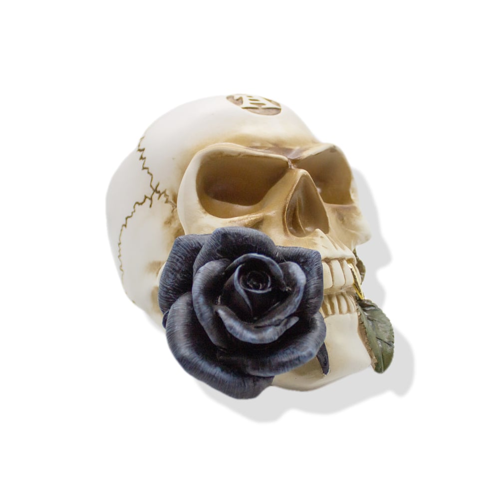Black Rose Alchemist Skull