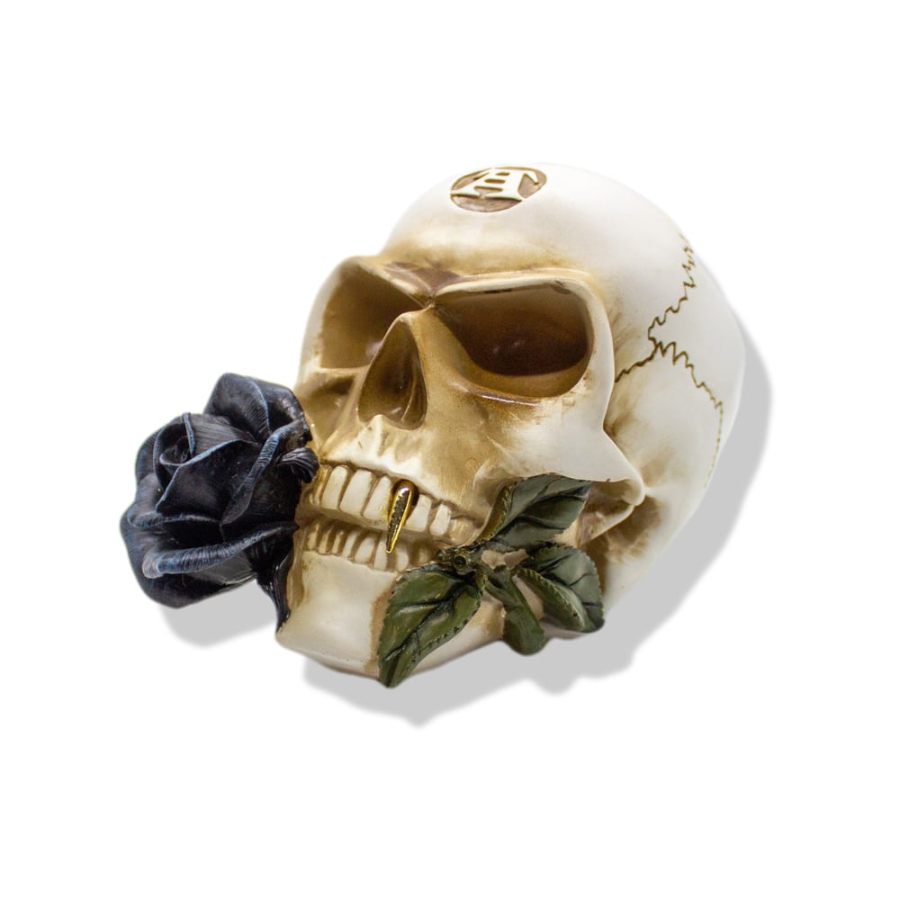 Black Rose Alchemist Skull