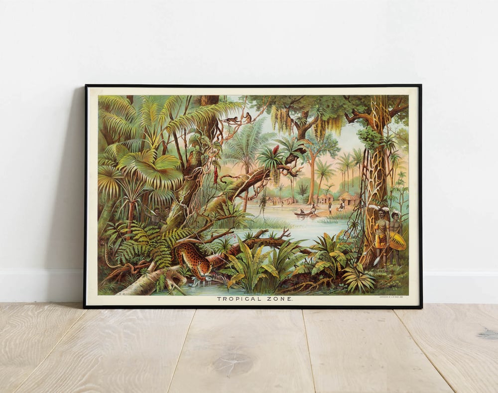 Tropical Zone - Geographical Nature Art Print Poster