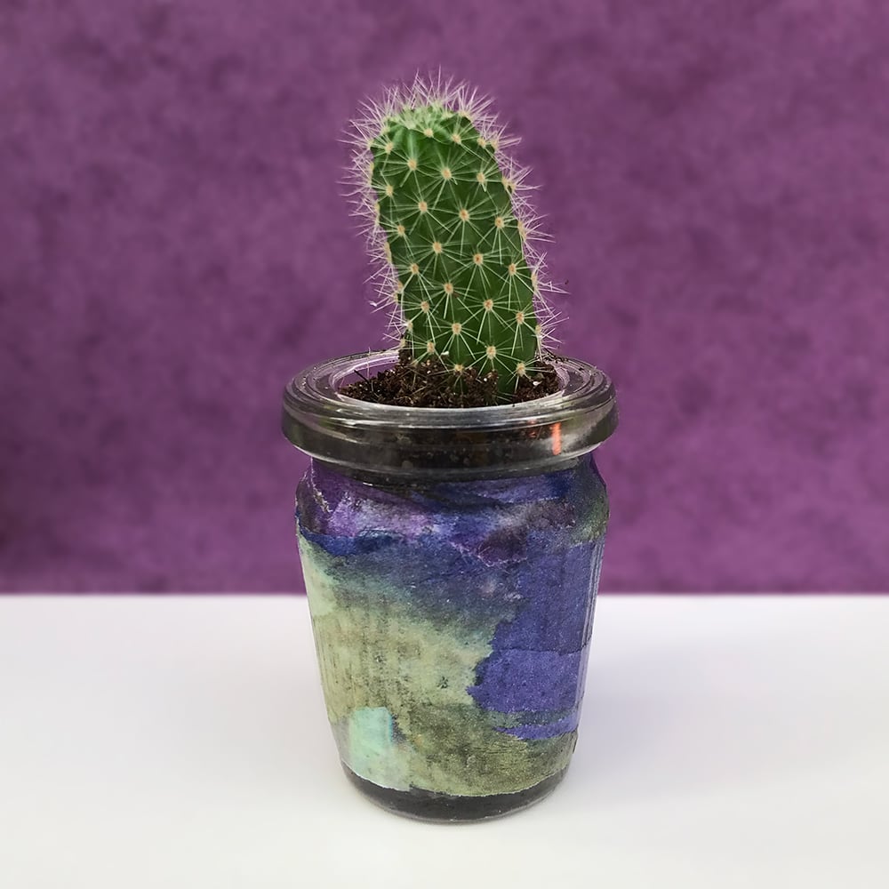 Fish paste jars sukidesign