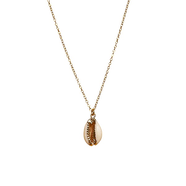 Image of Cowrie Shell Gold Filled Necklace 