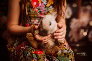 Image of Easter Minis