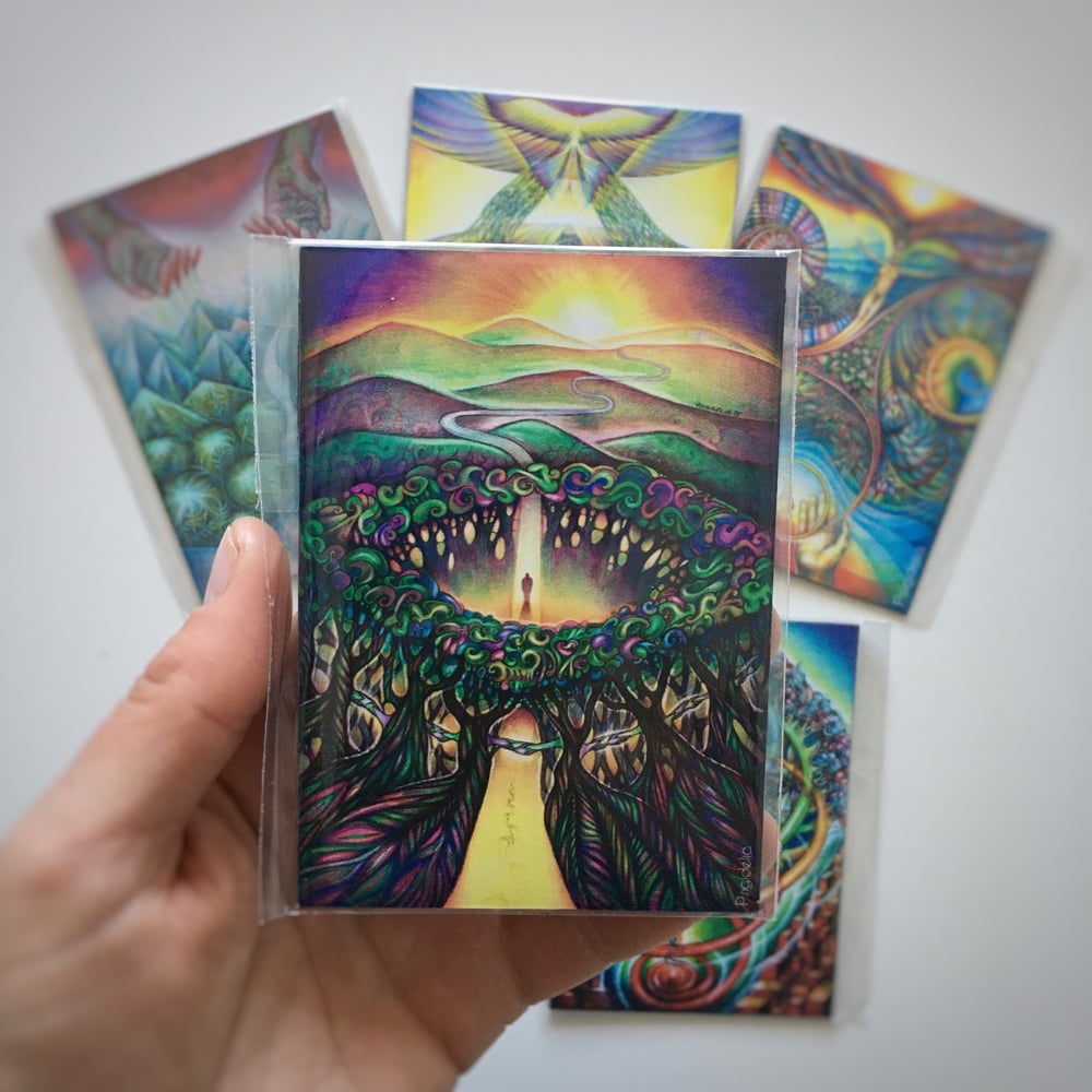 Image of 5 magnetuku rinkynys / 5 magnet set