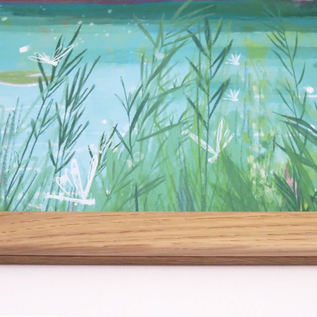 Affiches et porte-affiches Libellules