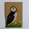 Puffin: Tiny Drawing 