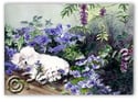 Previous All Occasion (blank inside) Cards (5-pack) from heartfeltimpressions.com