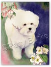 Previous All Occasion (blank inside) Cards (5-pack) from heartfeltimpressions.com