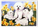Previous All Occasion (blank inside) Cards (5-pack) from heartfeltimpressions.com