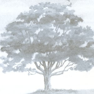 Image of 'Wind & Wuthering' (Front) Limited Edition Art Print