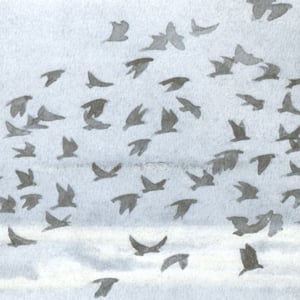 Image of 'Wind & Wuthering' (Back) Limited Edition Art Print