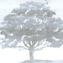 'Wind & Wuthering' (Composite) Limited Edition Art Print