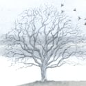 'Wind & Wuthering' (Composite) Limited Edition Art Print