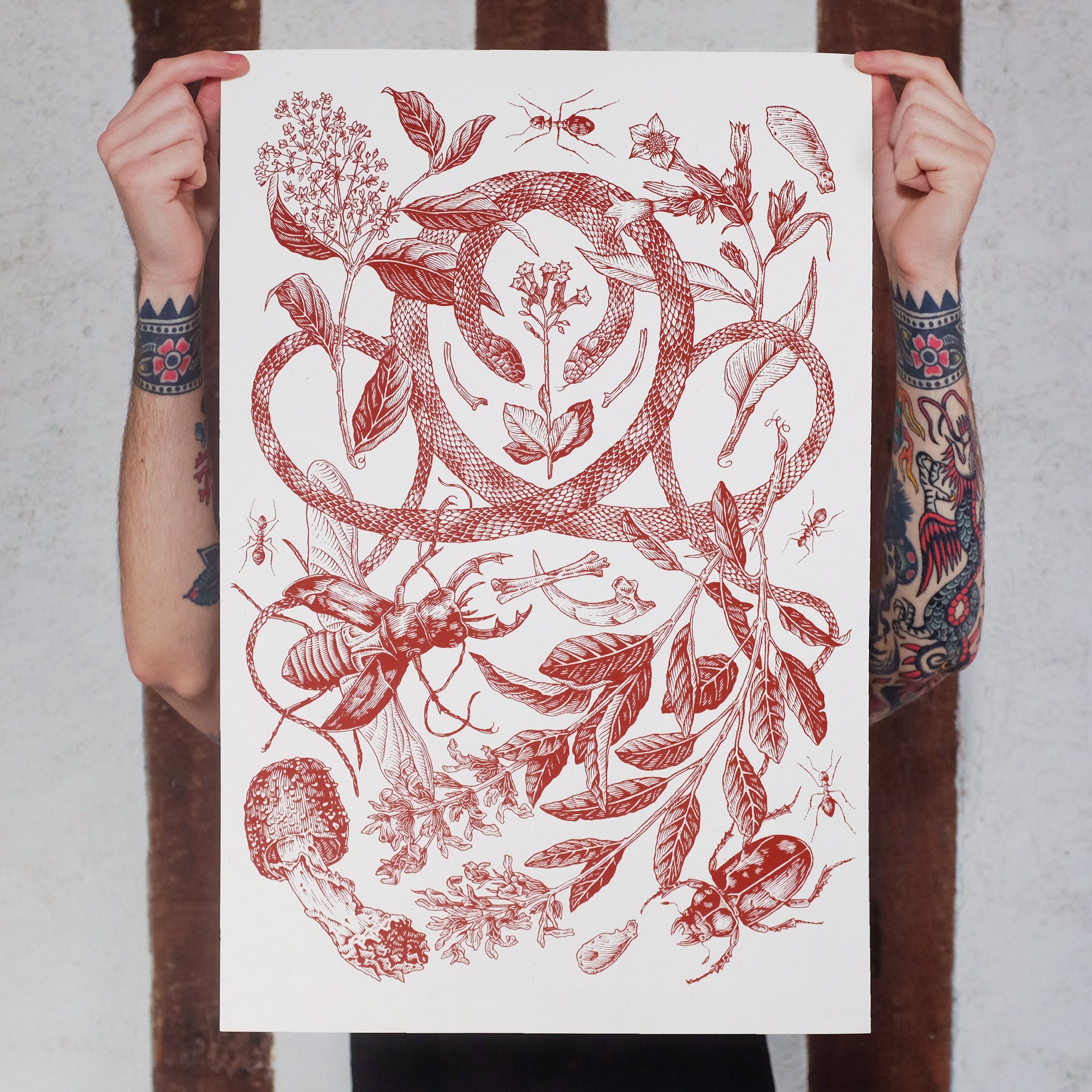 Image of BOTANIQUE 3