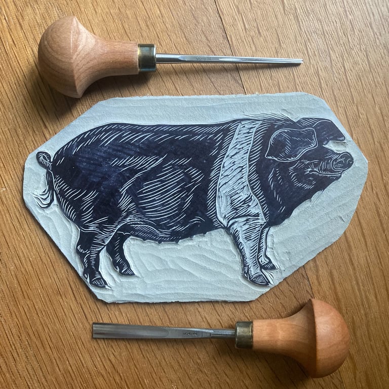 Saddleback Pig Image 4