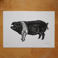 Image 1 of Saddleback Pig