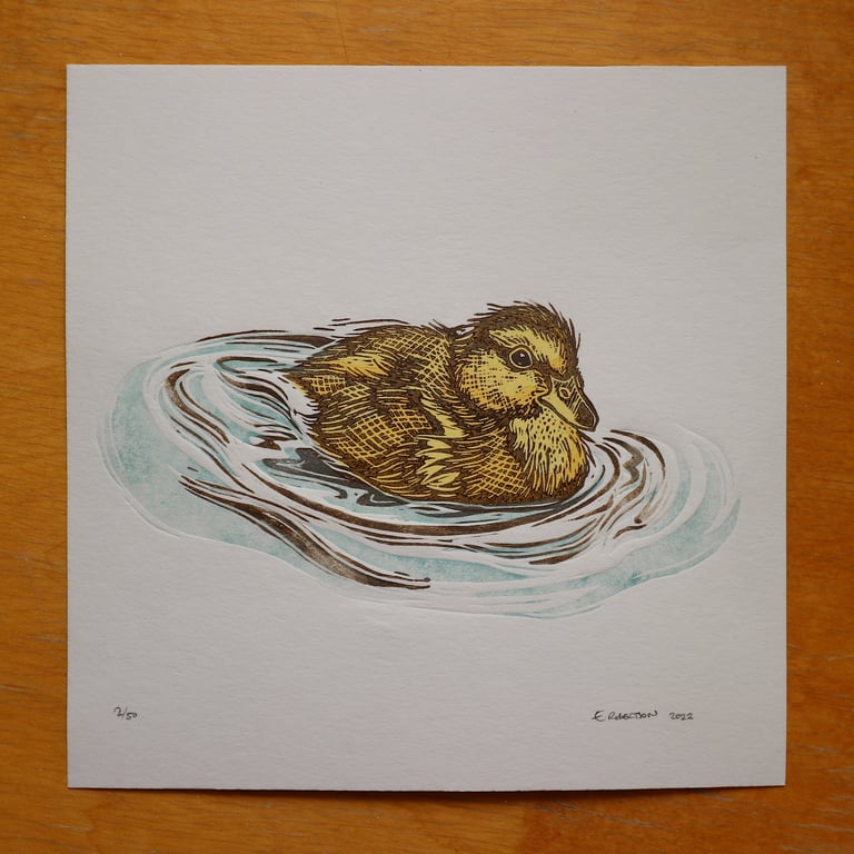 Duckling Image 3