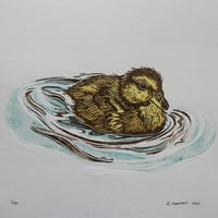 Image 1 of Duckling 