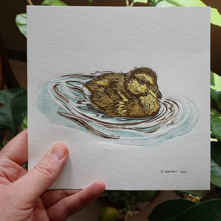 Duckling Image 4