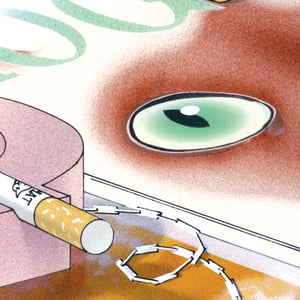 Image of 'Year of the Cat' Limited Edition Print