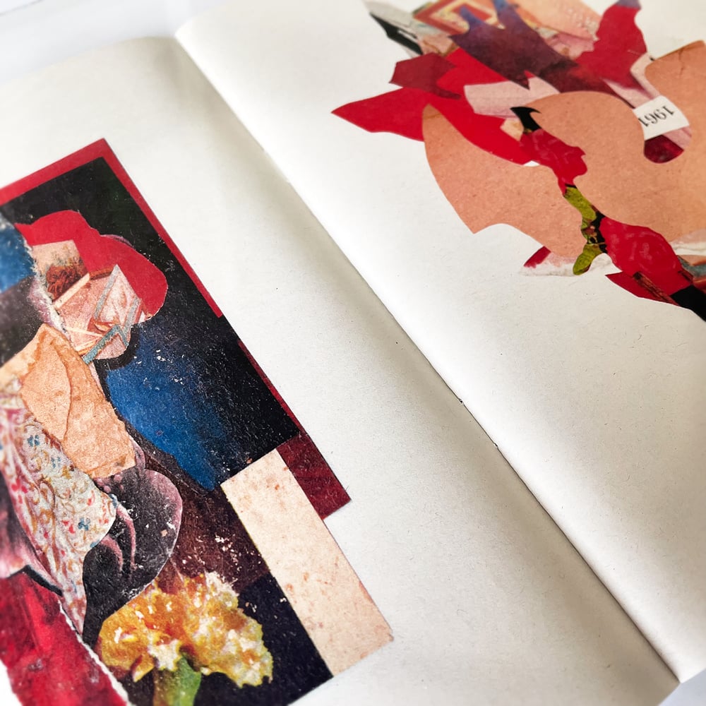 Orbital Notation by Morphic Rooms (allison anne & Jeremy P. Bushnell)