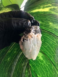 Image 3 of LARGE AQUAMARINE WITH BLACK TOURMALINE PENDANT- PAKISTAN 