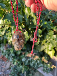 Image 5 of Large Amber skull