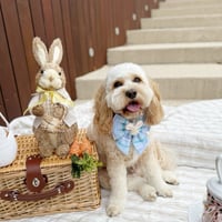 Image 2 of EASTER BUNNY EARS BOW