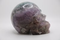 Image 4 of MASSIVE RAINBOW FLUORITE SKULL  (Ancestor Appreciation, Manifest )