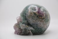 Image 3 of MASSIVE RAINBOW FLUORITE SKULL  (Ancestor Appreciation, Manifest )