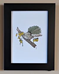 Image 4 of Native Bird Prints by Lee Brown