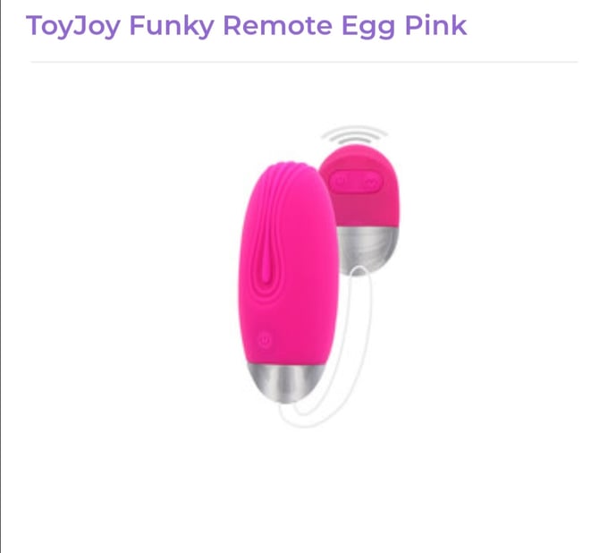 Image of ToyJoy Funky Remote Egg Pink