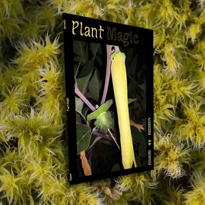 Image of Plant Magic - Poison&Remedy OUT OF PRINT