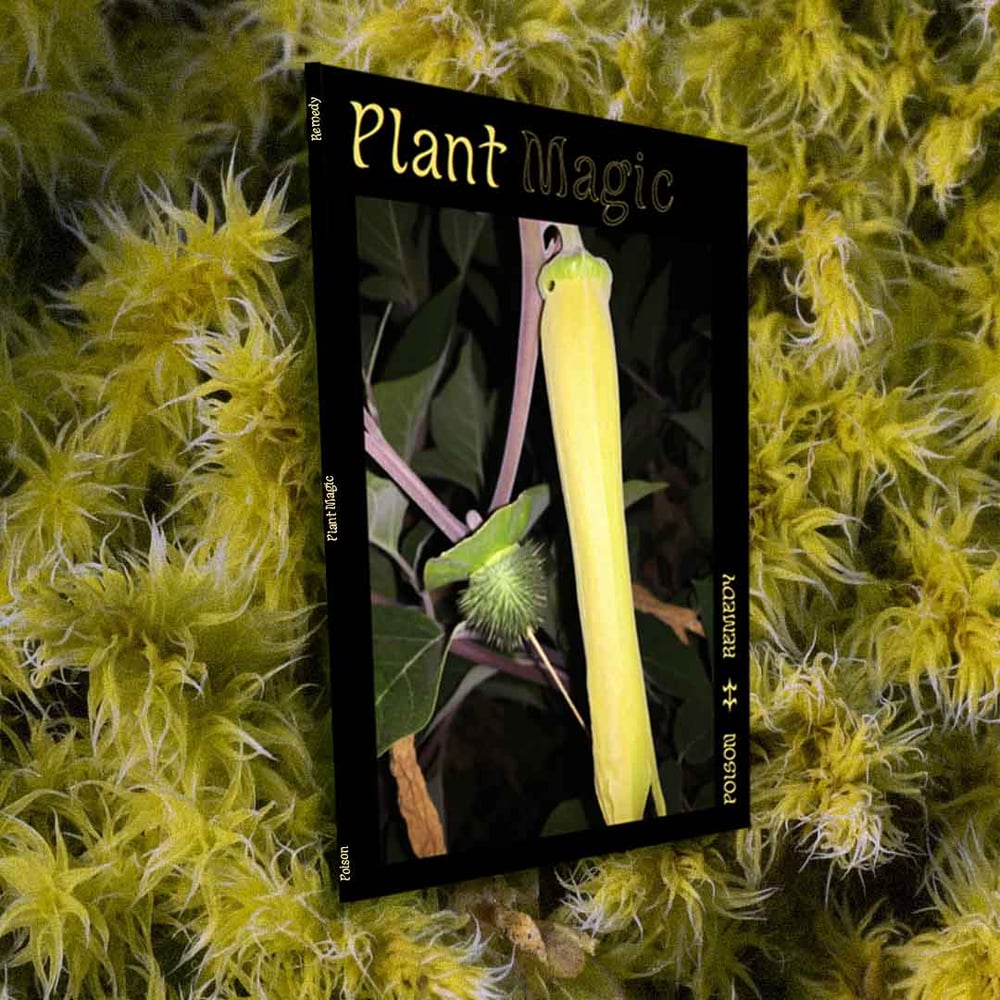 Image of Plant Magic - Poison&Remedy PDF (Digital Version)