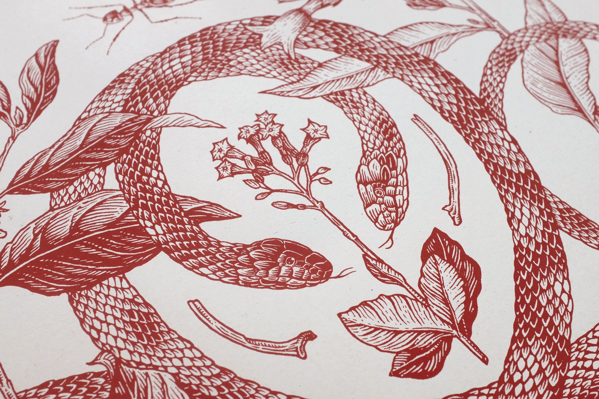 Image of BOTANIQUE 3