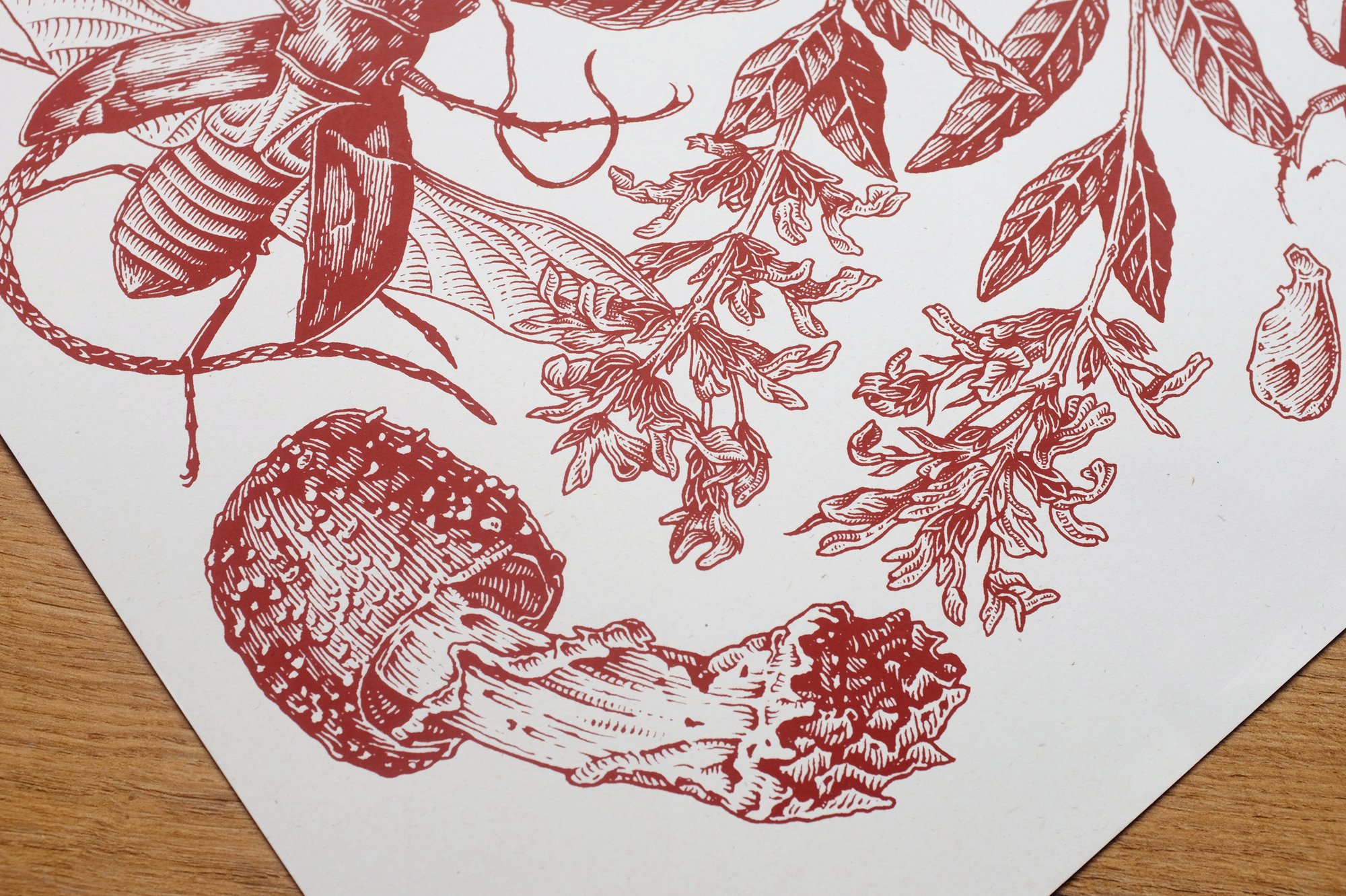 Image of BOTANIQUE 3