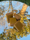 Tumeric Soap