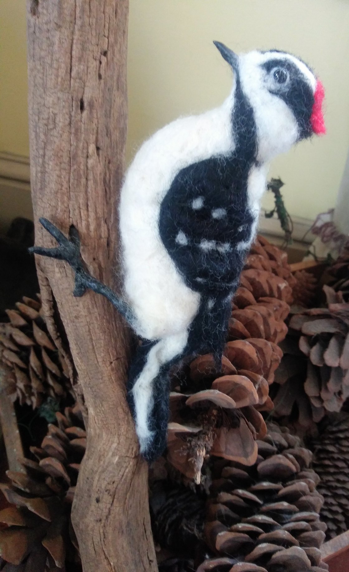 Image of Woodpecker(downy)