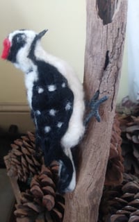 Image 2 of Woodpecker(downy)
