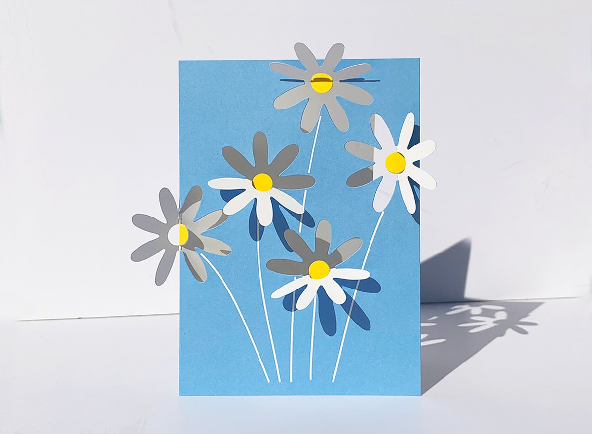 Image of 2 x Fold Out Daisies Cards 