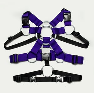 Image of TACTICAL HARNESS MX_01 / PURPLE_BLACK/