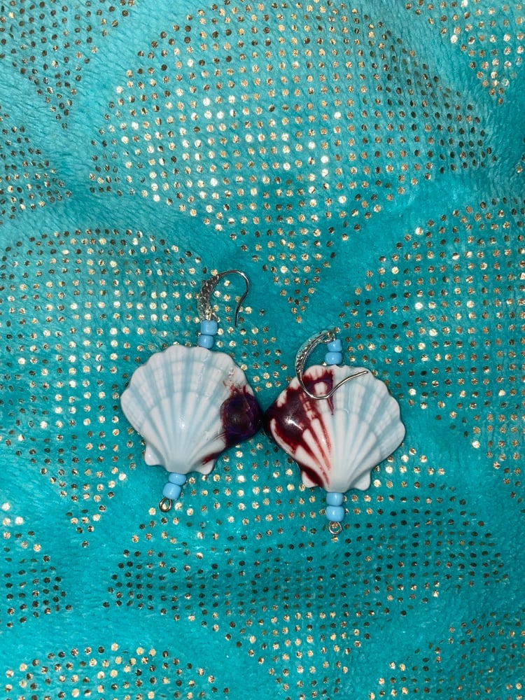 Image of Light blue and brown seashell earrings 