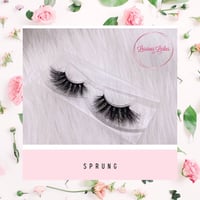 Image 2 of Sprung