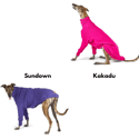 Kazoo Greyhound Knitwear