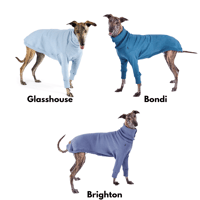 Image 2 of Kazoo Greyhound Knitwear