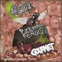 G.O.D. / Pulmonary Fibrosis / Gourmet - Trigonous Tonotopic Terror CD