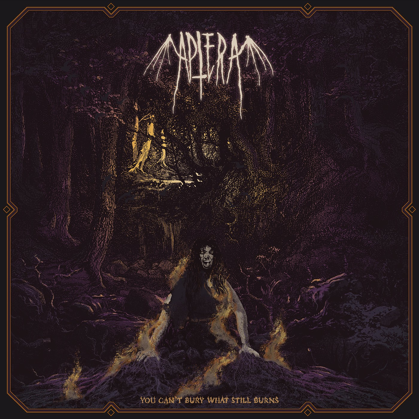 Image of Aptera - You Can't Bury What Still Burns Deluxe Vinyl Editions
