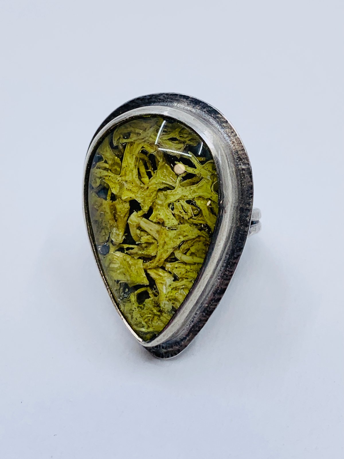 Silver Ring With Lichen by Lauren Nall