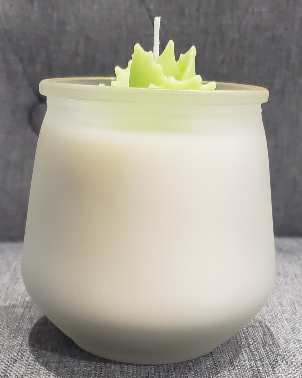 Simplistic succulent