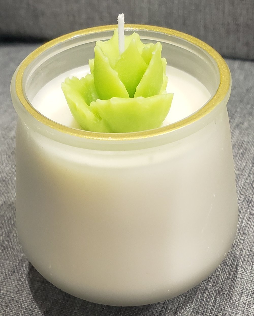 Simplistic succulent